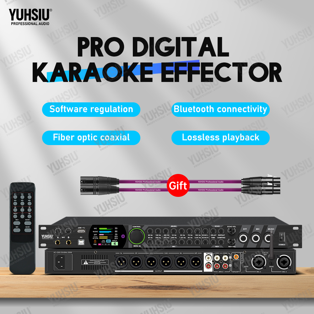 YUHSIU Karaoke Digitaler Effek – Audio Music Dj Bewertung und Preis